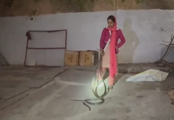 दो सर्पों का सुरक्षित रेस्क्यू