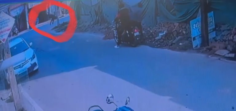 Screenshot_2026-01-31-11-31-47-17_7ecc343528d84aae1423bfb8eca3bd44