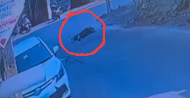 Screenshot_2026-01-31-12-02-15-46_7ecc343528d84aae1423bfb8eca3bd44