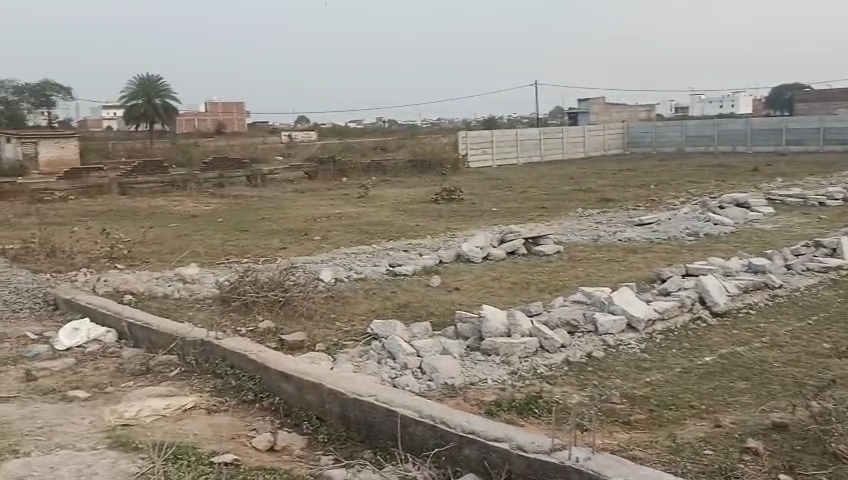 IMG_20260313_14381124