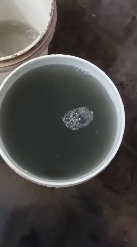 IMG_20260317_11020581